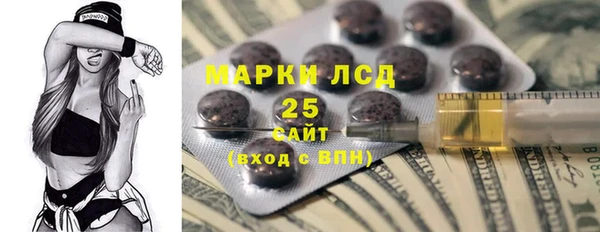 PSILOCYBIN Белокуриха
