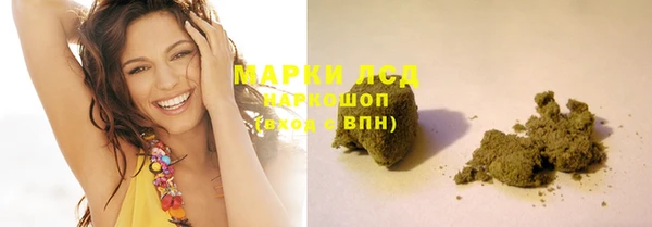 PSILOCYBIN Белокуриха