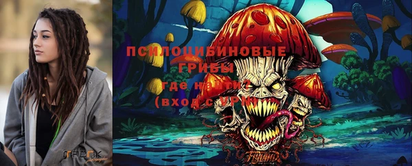 эйфоретик Беломорск