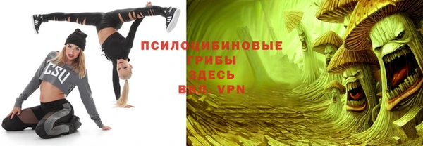 PSILOCYBIN Белокуриха