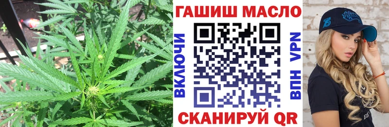 Купить  Новомичуринск  Дистиллят ТГК THC oil 